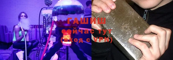 индика Вяземский