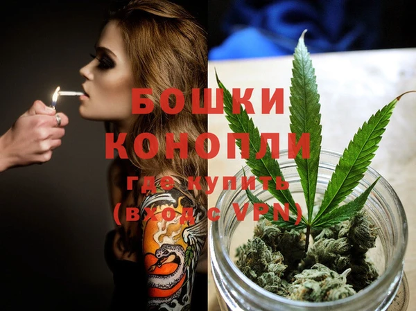 прущие грибы Володарск