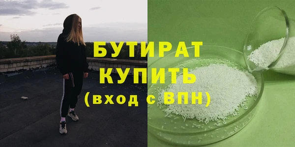 индика Вяземский