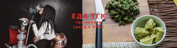 индика Вяземский