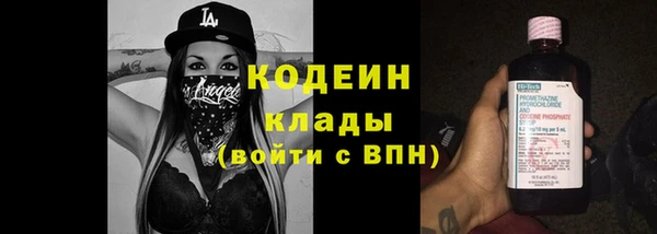 индика Вяземский