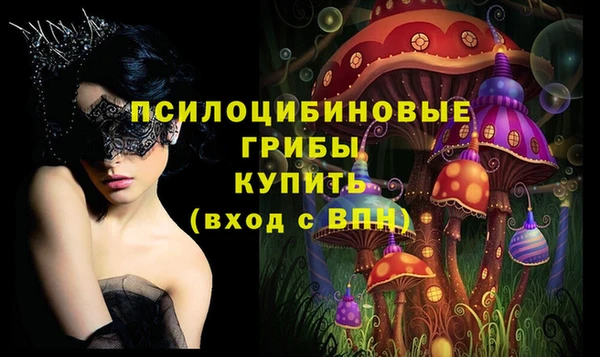 apvp Сафоново
