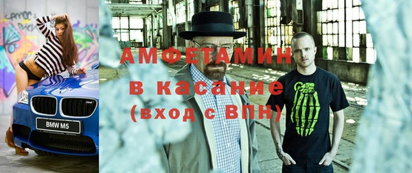 индика Вяземский