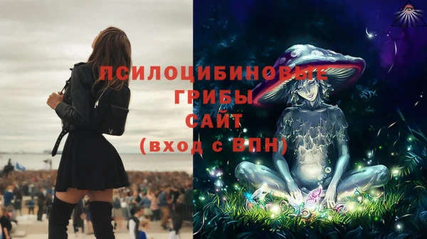 PSILOCYBIN Волоколамск