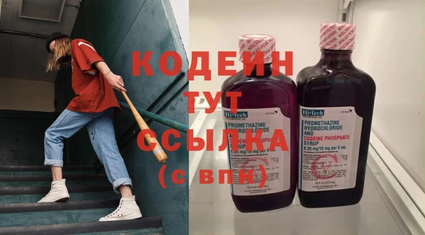 индика Вяземский