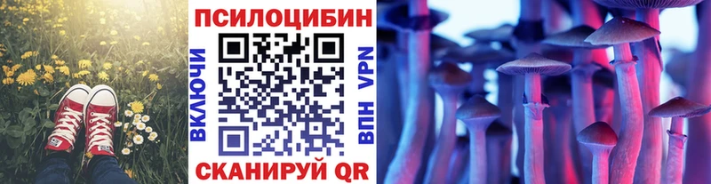 Галлюциногенные грибы ЛСД  Заволжье 